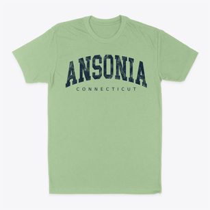 Ansonia Connecticut Urban Vibe Classic Dad T-Shirt