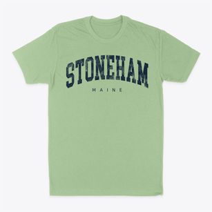 Stoneham Maine Urban Vibe Classic Dad T-Shirt