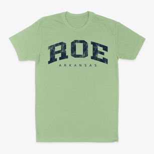 Roe Arkansas Urban Vibe Classic Dad T-Shirt