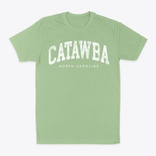 Catawba North Carolina Urban Vibe Classic Dad T-Shirt