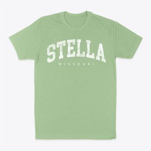 Stella Missouri Urban Vibe Classic Dad T-Shirt
