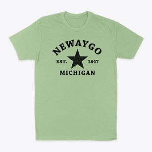 Newaygo Michigan Star Classic Dad T-Shirt