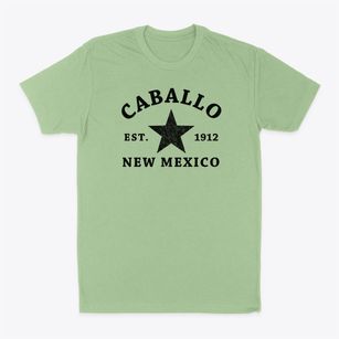 Caballo New Mexico Star Classic Dad T-Shirt