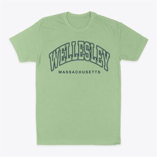 Wellesley Massachusetts Inline Classic Dad T-Shirt