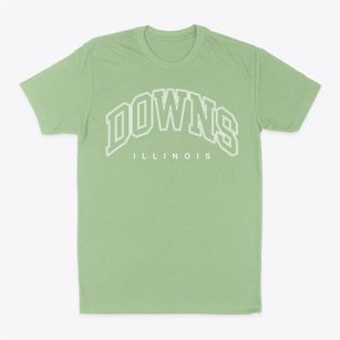 Downs Illinois Inline Classic Dad T-Shirt