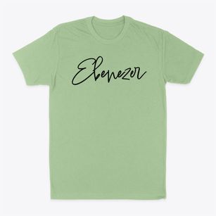 Ebenezer Wisconsin Freestyle Classic Dad T-Shirt