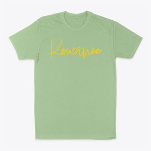 Kewanee Illinois Freestyle Classic Dad T-Shirt