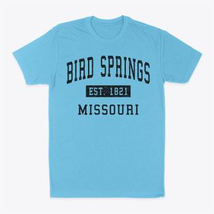 Bird Springs Missouri Classic Established Classic Dad T-Shirt