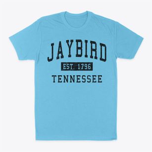 Jaybird Tennessee Classic Established Classic Dad T-Shirt