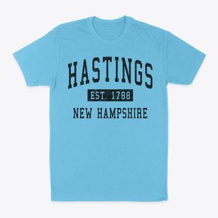 Hastings New Hampshire Classic Established Classic Dad T-Shirt