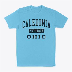 Caledonia Ohio Classic Established Classic Dad T-Shirt
