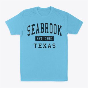Seabrook Texas Classic Established Classic Dad T-Shirt