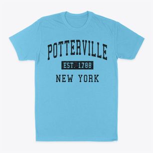 Potterville New York Classic Established Classic Dad T-Shirt
