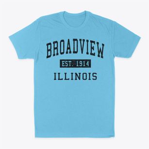 Broadview Illinois Classic Established Classic Dad T-Shirt