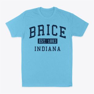 Brice Indiana Classic Established Classic Dad T-Shirt