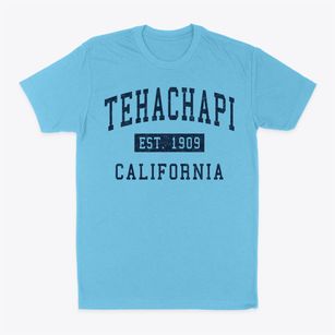 Tehachapi California Classic Established Classic Dad T-Shirt