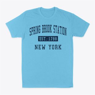 Spring Brook Station New York Classic Established Classic Dad T-Shirt