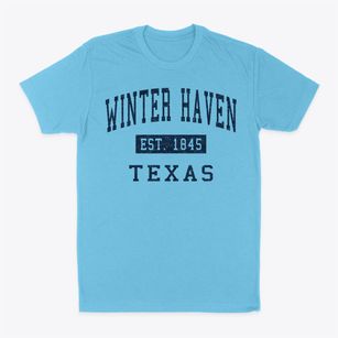 Winter Haven Texas Classic Established Classic Dad T-Shirt