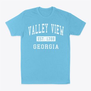Valley View Georgia Classic Established Classic Dad T-Shirt