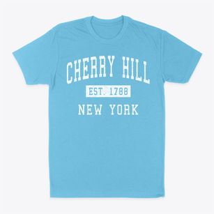 Cherry Hill New York Classic Established Classic Dad T-Shirt