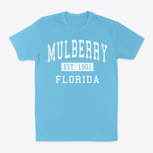 Mulberry Florida Classic Established Classic Dad T-Shirt