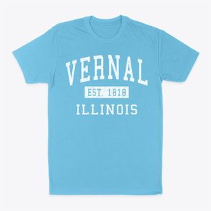 Vernal Illinois Classic Established Classic Dad T-Shirt