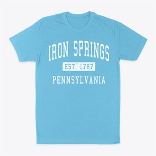 Iron Springs Pennsylvania Classic Established Classic Dad T-Shirt