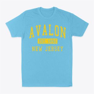 Avalon New Jersey Classic Established Classic Dad T-Shirt