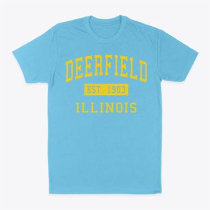 Deerfield Illinois Classic Established Classic Dad T-Shirt