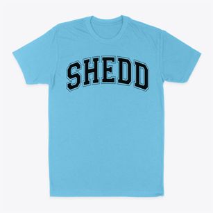Shedd Montessori School Varsity Arch Classic Dad T-Shirt