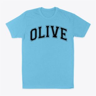 Olive Elementary School Varsity Arch Classic Dad T-Shirt