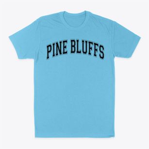 Pine Bluffs Elementary School Varsity Arch Classic Dad T-Shirt