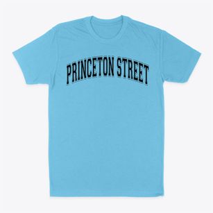 Princeton Street School Varsity Arch Classic Dad T-Shirt