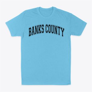 Banks County Primary School Varsity Arch Classic Dad T-Shirt