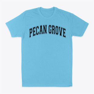 Pecan Grove Elementary School Varsity Arch Classic Dad T-Shirt