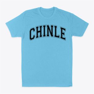 Chinle Primary School Varsity Arch Classic Dad T-Shirt