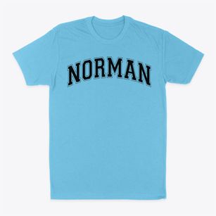 Norman Junior High School Varsity Arch Classic Dad T-Shirt