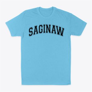 Saginaw Arts & Sciences Academy Varsity Arch Classic Dad T-Shirt