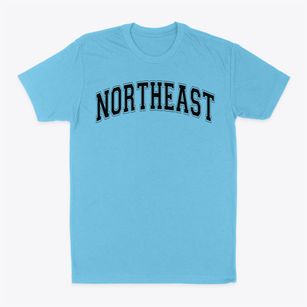 Northeast Elementary School Varsity Arch Classic Dad T-Shirt