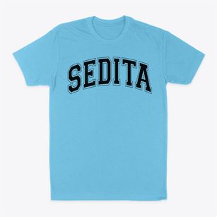 Sedita Community School 38 Varsity Arch Classic Dad T-Shirt
