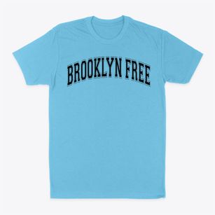 Brooklyn Free School Varsity Arch Classic Dad T-Shirt