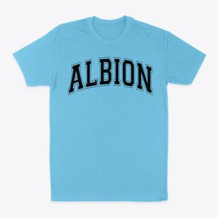 Albion Middle School Varsity Arch Classic Dad T-Shirt