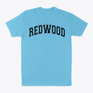 Redwood Junior Academy Varsity Arch Classic Dad T-Shirt