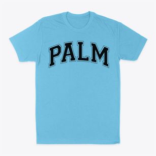 Palm Elementary School Varsity Arch Classic Dad T-Shirt