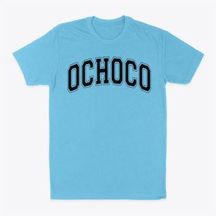 Ochoco Elementary School Varsity Arch Classic Dad T-Shirt