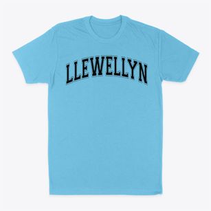 Llewellyn Elementary School Varsity Arch Classic Dad T-Shirt