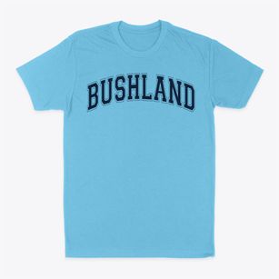 Bushland Elementary School Varsity Arch Classic Dad T-Shirt