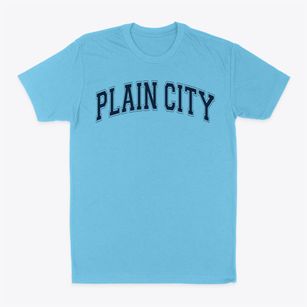 Plain City Elementary School Varsity Arch Classic Dad T-Shirt