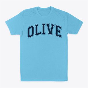 Olive Elementary School Varsity Arch Classic Dad T-Shirt
