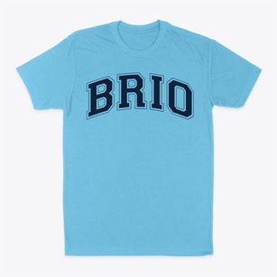Brio College Prep Varsity Arch Classic Dad T-Shirt